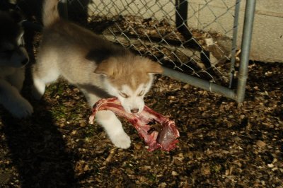 DSC_9902.JPG