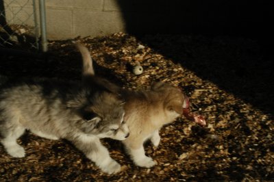 DSC_9903.JPG