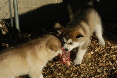 DSC_9905.JPG