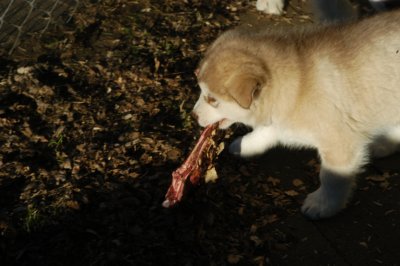 DSC_9907.JPG