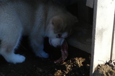 DSC_9911.JPG