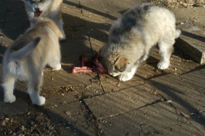 DSC_9914.JPG