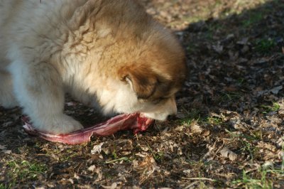 DSC_9916.JPG