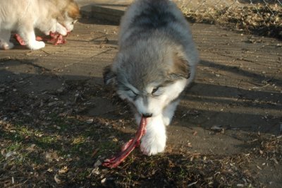 DSC_9921.JPG
