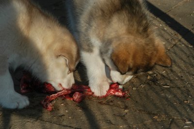 DSC_9922.JPG