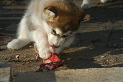 DSC_9925.JPG
