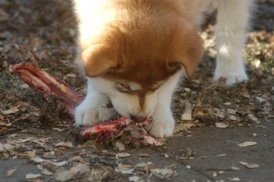 DSC_9929.JPG