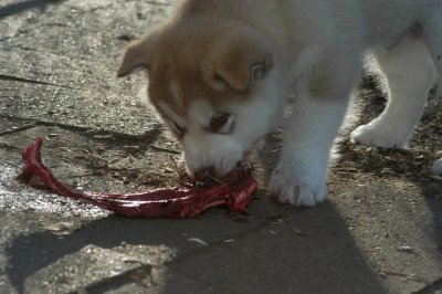DSC_9932.JPG