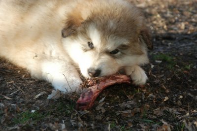 DSC_9934.JPG