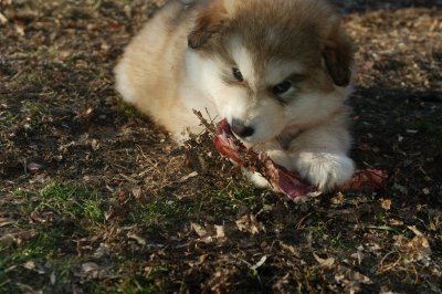 DSC_9938.JPG
