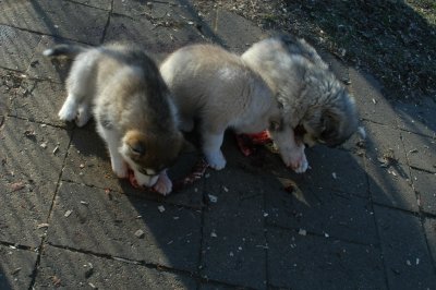 DSC_9942.JPG