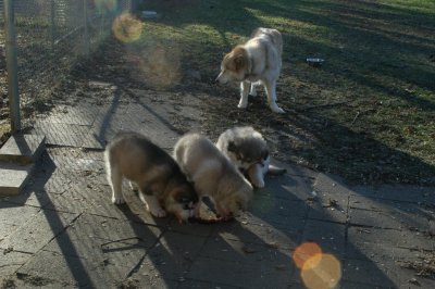 DSC_9943.JPG