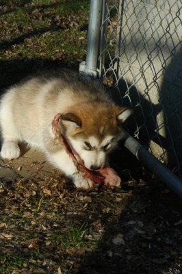 DSC_9944.JPG