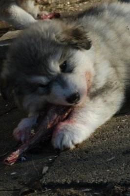 DSC_9945.JPG