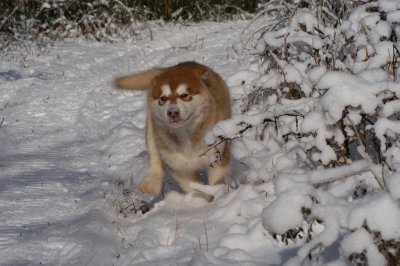 DSC_0816.JPG