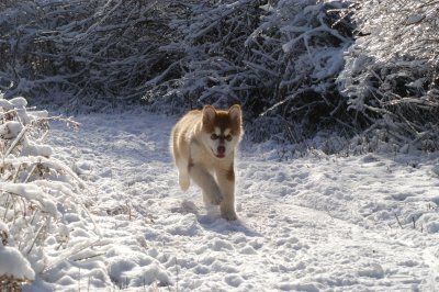 DSC_0829.JPG