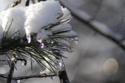 DSC_0832.JPG