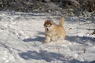 DSC_0834.JPG