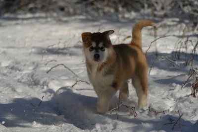 DSC_0840.JPG