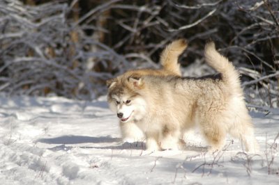 DSC_0842.JPG