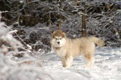 DSC_0854.JPG