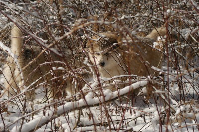 DSC_0876.JPG