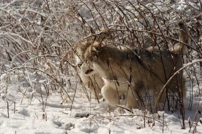 DSC_0877.JPG