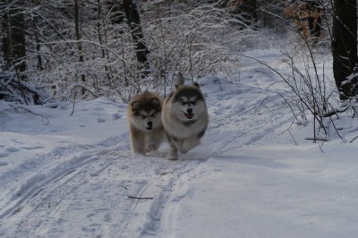 DSC_0895.JPG