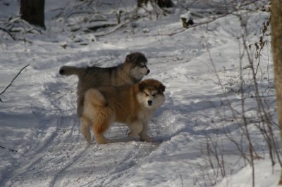 DSC_0900.JPG