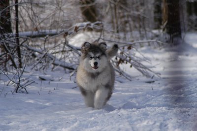 DSC_0917.JPG