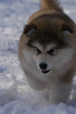 DSC_0922.JPG