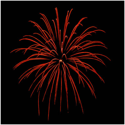 Hal Muhrlein, By the Bombs Red Glare
