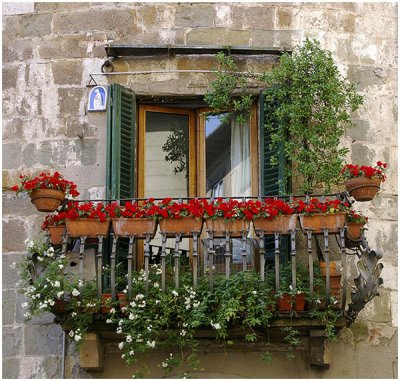 Sue Hylen, Window in Lucca