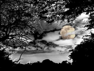 Chuck Murphy, Harvest Moon