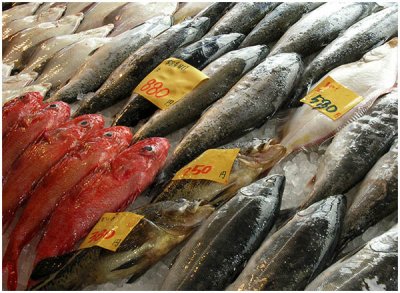 Chizuko Farley, Fish for Sale