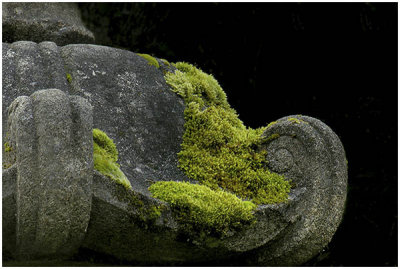 Chizuko Farley, Moss on a Stone Lantern
