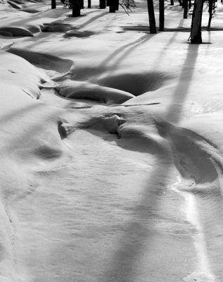 Hal Muhrlein, Afternoon-Shadows