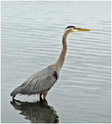 Jake Fetterman, A Patient Fisherman