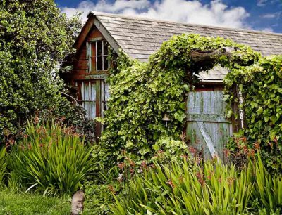 Chuck Murphy, Summer House