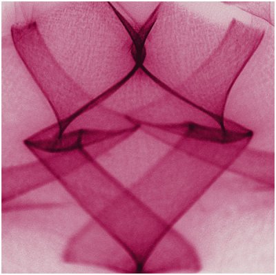 Chizuko Farley, Fancy Ribbons
