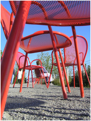 Jake Fetterman, A Bug's Eye View