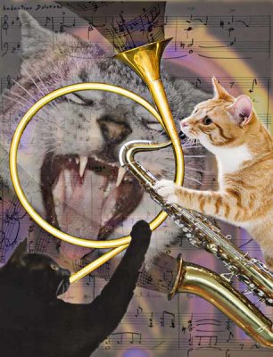 Chuck Murphy, Jazz Cats