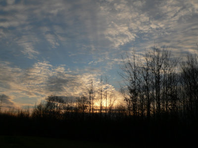 Dusk at Dagobah