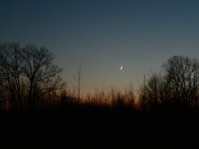 The moon at dusk