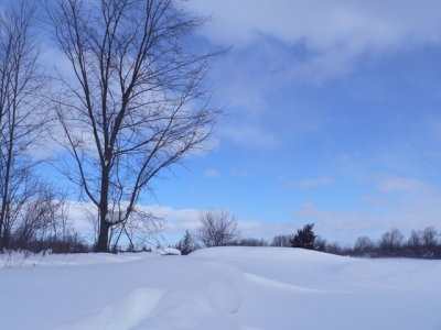 Fields of snow in February