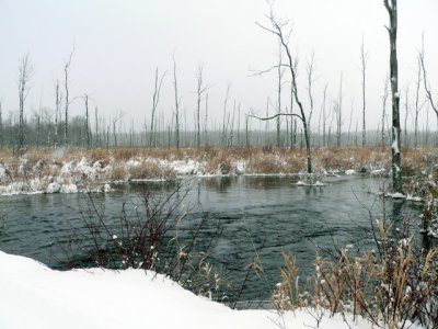 The  creek (early snow that melted in a few days)
