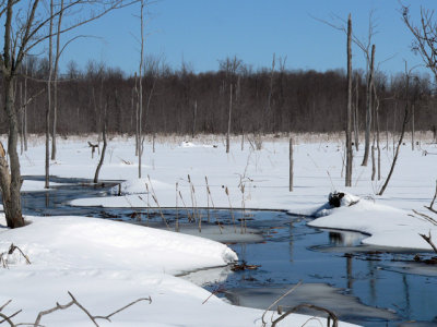 Creek is opening up too soon (March 11)