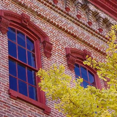 Red-Windows--Yellow-Tree.jpg