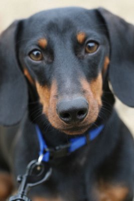 Who, me?