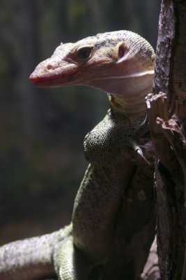 L1000221.jpg